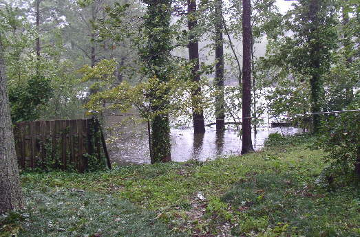 Back Yard Storm