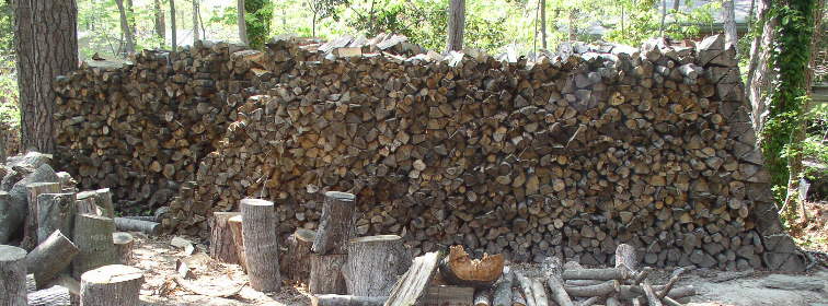 Wood Pile